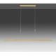 Paul Neuhaus 2568-60 - Led Dimmable κρεμαστό φωτιστικό οροφής ADRIANA LED/14W/230V  2700-5000K ορείχαλκος