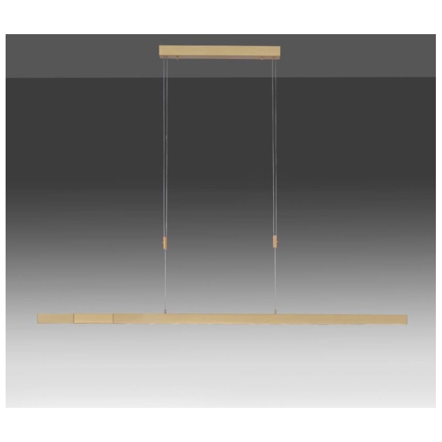 Paul Neuhaus 2568-60 - Led Dimmable κρεμαστό φωτιστικό οροφής ADRIANA LED/14W/230V  2700-5000K ορείχαλκος