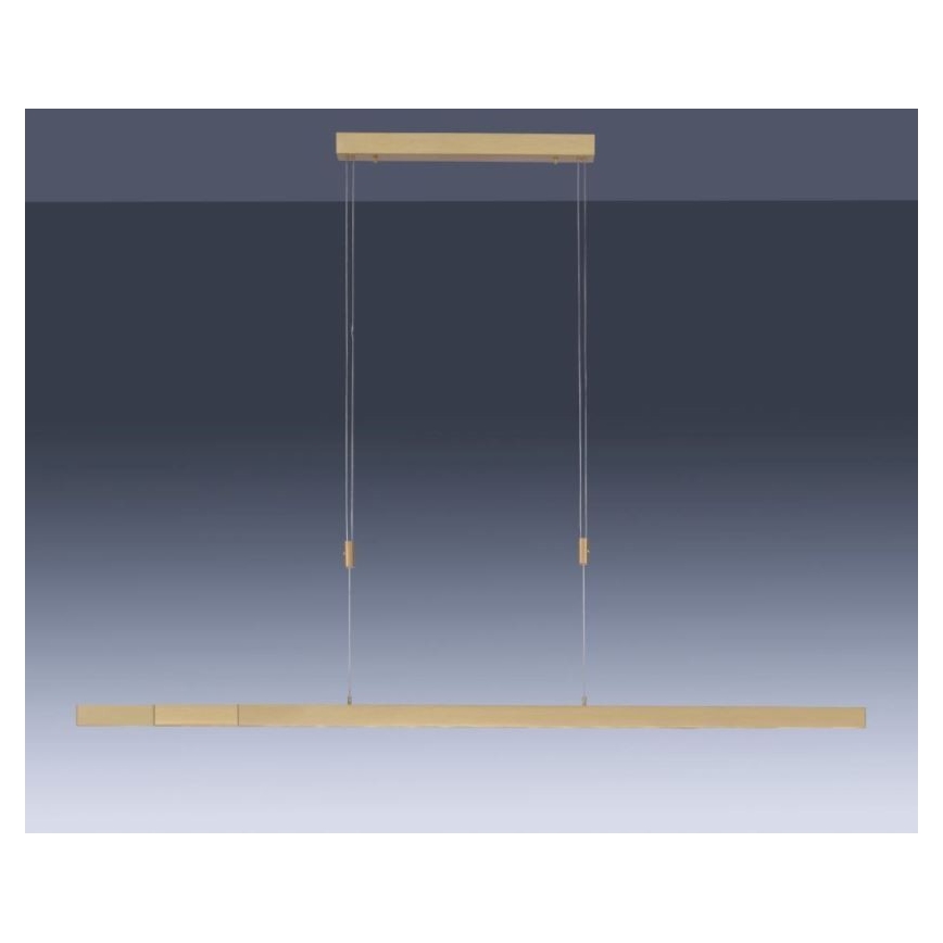 Paul Neuhaus 2568-60 - Led Dimmable κρεμαστό φωτιστικό οροφής ADRIANA LED/14W/230V  2700-5000K ορείχαλκος