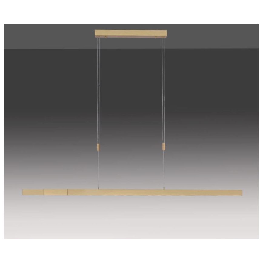 Paul Neuhaus 2568-60 - Led Dimmable κρεμαστό φωτιστικό οροφής ADRIANA LED/14W/230V  2700-5000K ορείχαλκος