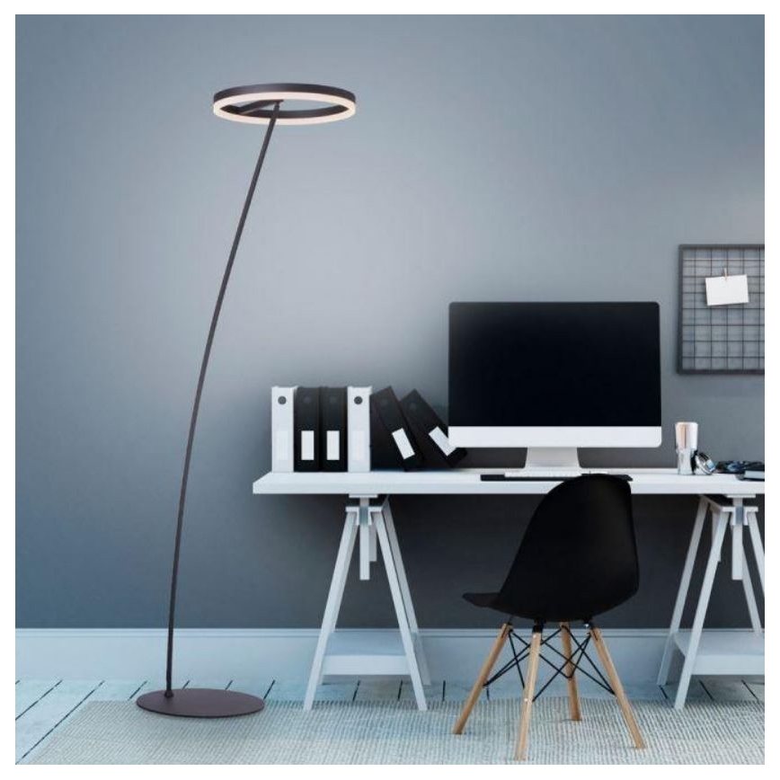 Paul Neuhaus 381-13 - LED Dimmable επιδαπέδια λάμπα TITUS LED/19,5W/230V