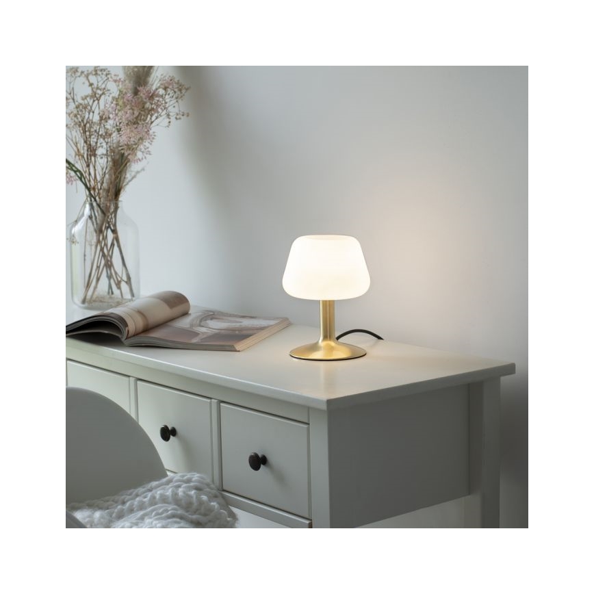 Paul Neuhaus 4078-60 - Επιτραπέζια λάμπα αφής dimming LED TILL 1xG9/3W/230V ορείχαλκος