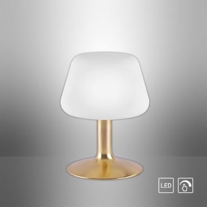 Paul Neuhaus 4078-60 - Επιτραπέζια λάμπα αφής dimming LED TILL 1xG9/3W/230V ορείχαλκος