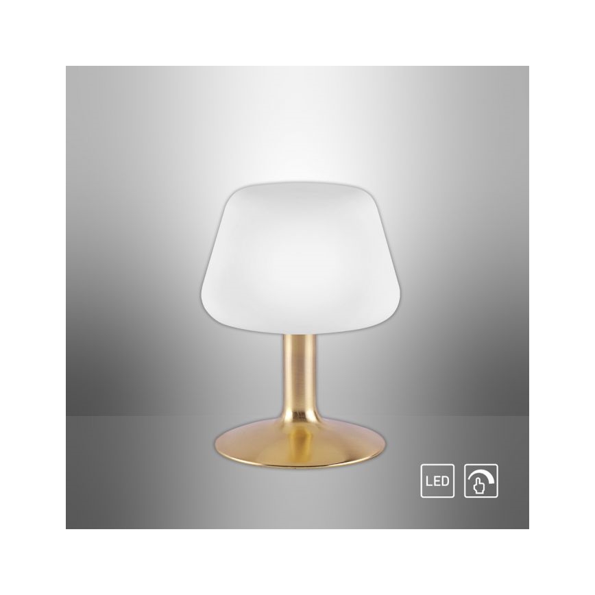 Paul Neuhaus 4078-60 - Επιτραπέζια λάμπα αφής dimming LED TILL 1xG9/3W/230V ορείχαλκος