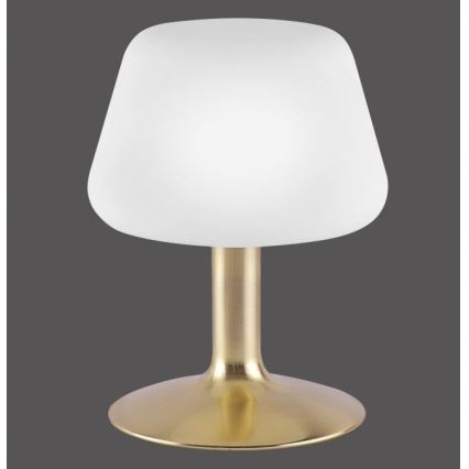 Paul Neuhaus 4078-60 - Επιτραπέζια λάμπα αφής dimming LED TILL 1xG9/3W/230V ορείχαλκος