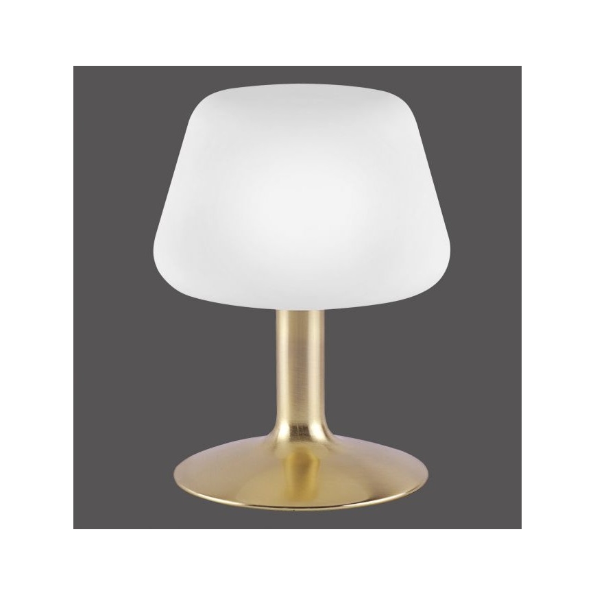 Paul Neuhaus 4078-60 - Επιτραπέζια λάμπα αφής dimming LED TILL 1xG9/3W/230V ορείχαλκος