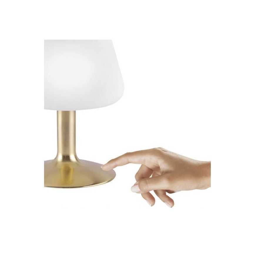 Paul Neuhaus 4078-60 - Επιτραπέζια λάμπα αφής dimming LED TILL 1xG9/3W/230V ορείχαλκος