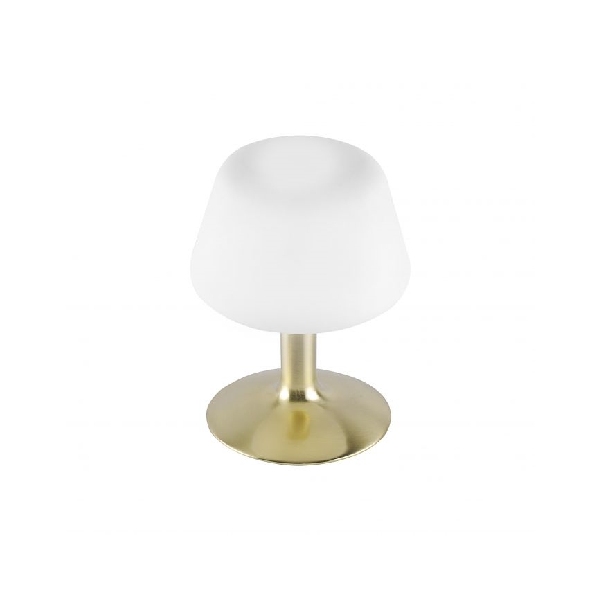 Paul Neuhaus 4078-60 - Επιτραπέζια λάμπα αφής dimming LED TILL 1xG9/3W/230V ορείχαλκος