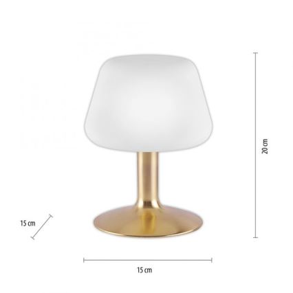 Paul Neuhaus 4078-60 - Επιτραπέζια λάμπα αφής dimming LED TILL 1xG9/3W/230V ορείχαλκος