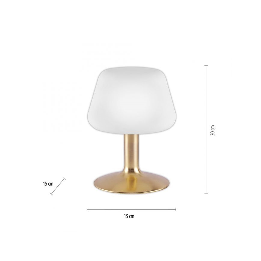 Paul Neuhaus 4078-60 - Επιτραπέζια λάμπα αφής dimming LED TILL 1xG9/3W/230V ορείχαλκος