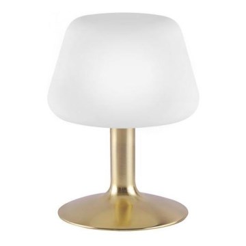 Paul Neuhaus 4078-60 - Επιτραπέζια λάμπα αφής dimming LED TILL 1xG9/3W/230V ορείχαλκος