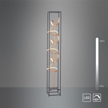 Paul Neuhaus 415-18 - Επιδαπέδια λάμπα dimmer LED SELINA 3xLED/10,2W/230V