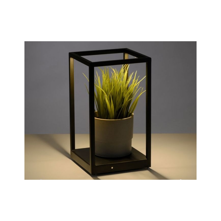 Paul Neuhaus 4401-18 - LED Dimmable επιτραπέζια λάμπα CONTURA 2xLED/2,2W/230V