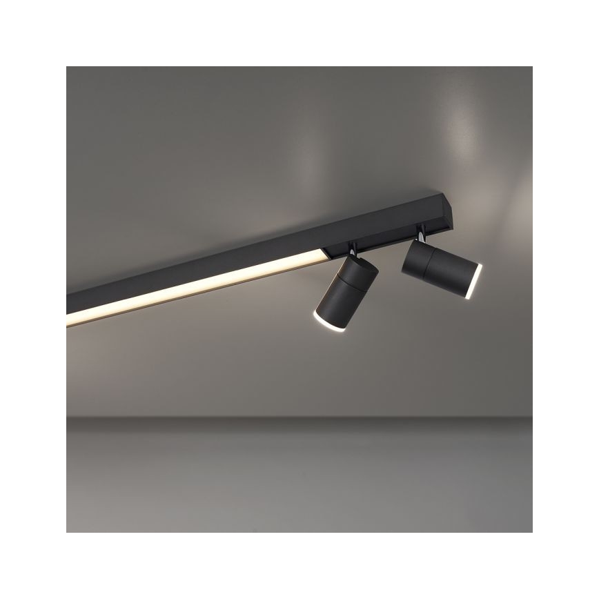 Paul Neuhaus 6121-13 - Ρυθμιζόμενο LED σποτ PURE 4xLED/4W/230V + LED/9W 2700-5000K + τηλεχειριστήριο