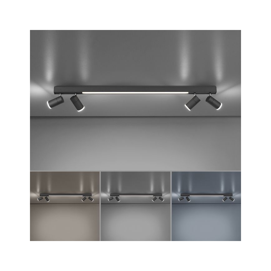 Paul Neuhaus 6121-13 - Ρυθμιζόμενο LED σποτ PURE 4xLED/4W/230V + LED/9W 2700-5000K + τηλεχειριστήριο