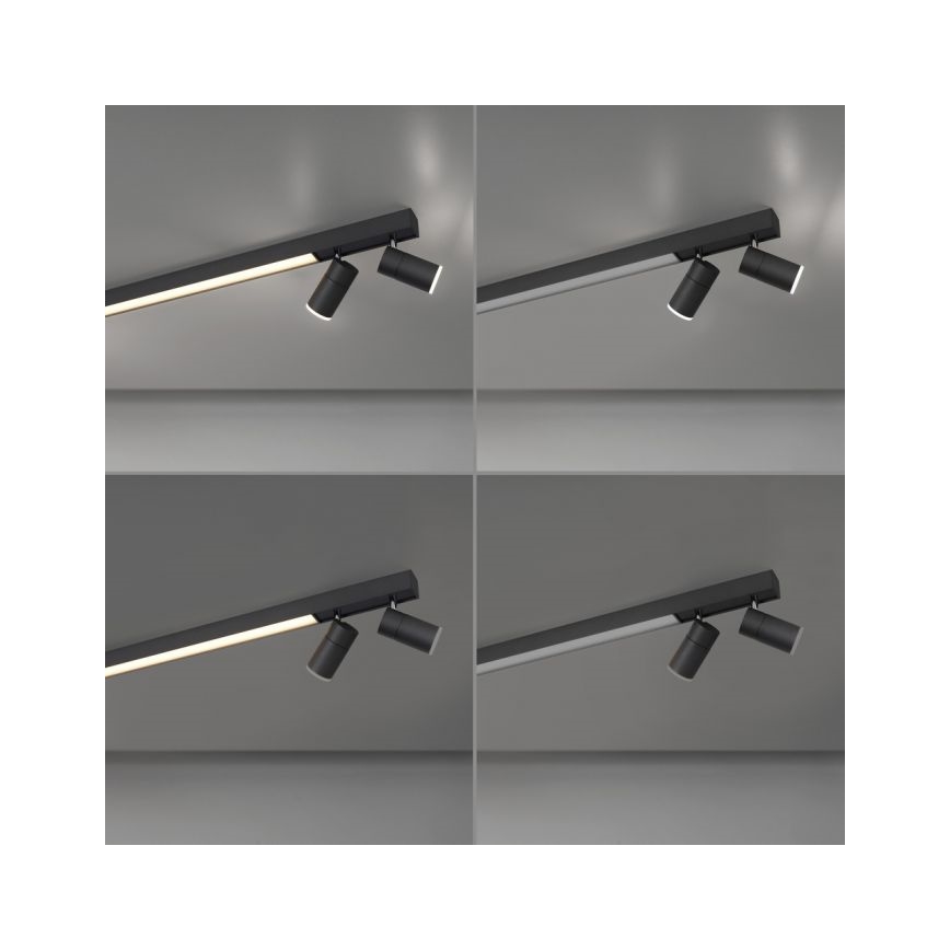 Paul Neuhaus 6121-13 - Ρυθμιζόμενο LED σποτ PURE 4xLED/4W/230V + LED/9W 2700-5000K + τηλεχειριστήριο