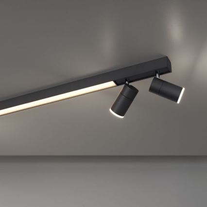Paul Neuhaus 6121-13 - Ρυθμιζόμενο LED σποτ PURE 4xLED/4W/230V + LED/9W 2700-5000K + τηλεχειριστήριο
