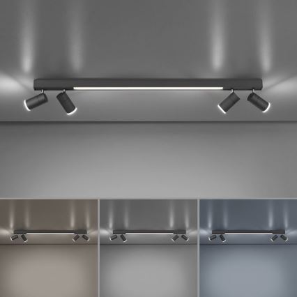 Paul Neuhaus 6121-13 - Φωτιστικό σποτ Dimming LED PURE 4xLED/4W/230V + LED/9W 2700-5000K + τηλεχειριστήριο