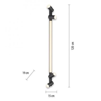Paul Neuhaus 6121-13 - Φωτιστικό σποτ Dimming LED PURE 4xLED/4W/230V + LED/9W 2700-5000K + τηλεχειριστήριο