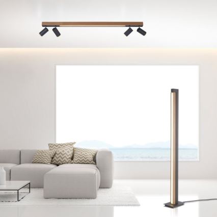 Paul Neuhaus 6121-79 - Φωτιστικό σποτ Dimming LED PURE 4xLED/4W/230V + LED/9W 2700-5000K + τηλεχειριστήριο