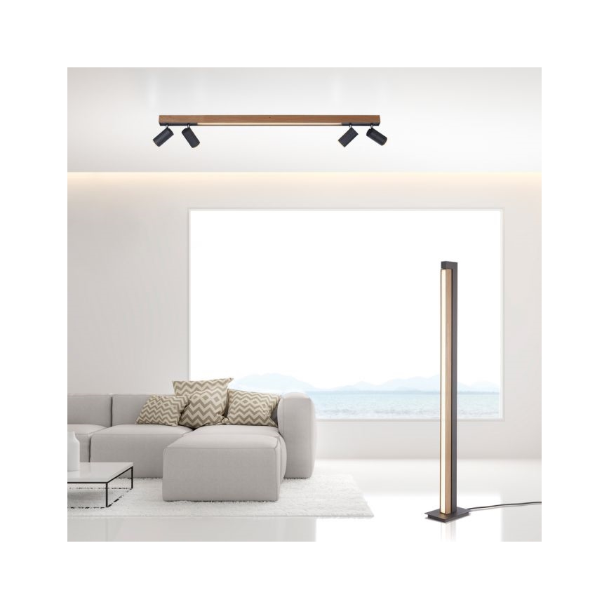 Paul Neuhaus 6121-79 - Φωτιστικό σποτ Dimming LED PURE 4xLED/4W/230V + LED/9W 2700-5000K + τηλεχειριστήριο