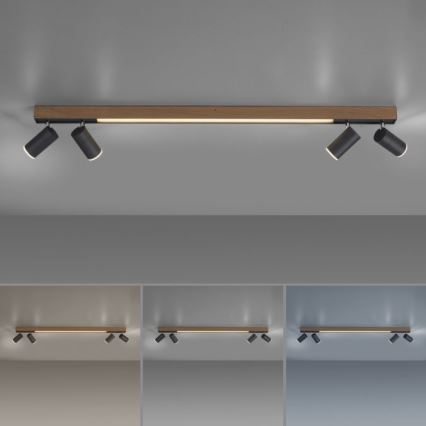 Paul Neuhaus 6121-79 - Φωτιστικό σποτ Dimming LED PURE 4xLED/4W/230V + LED/9W 2700-5000K + τηλεχειριστήριο