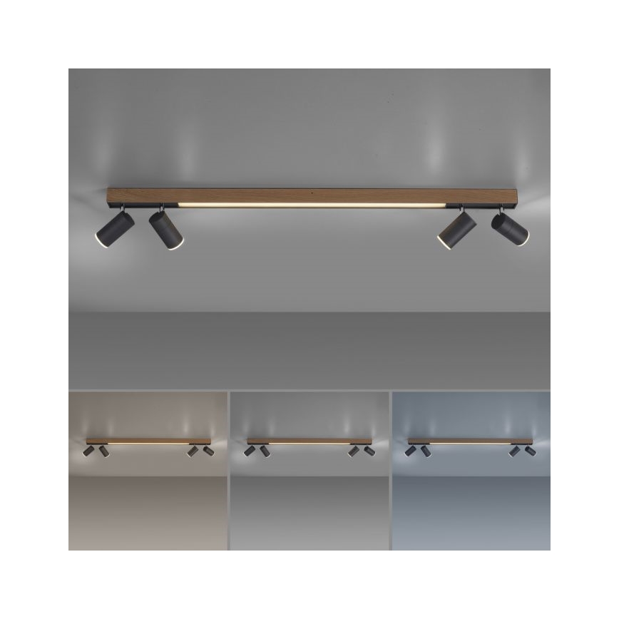 Paul Neuhaus 6121-79 - Φωτιστικό σποτ Dimming LED PURE 4xLED/4W/230V + LED/9W 2700-5000K + τηλεχειριστήριο