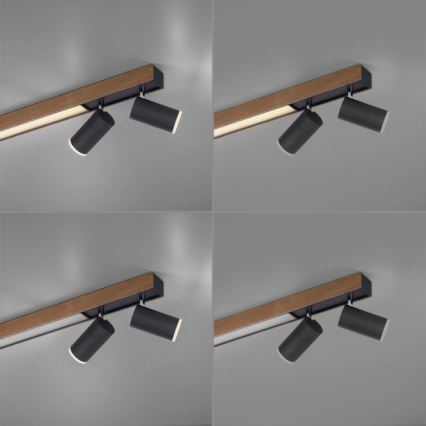 Paul Neuhaus 6121-79 - Φωτιστικό σποτ Dimming LED PURE 4xLED/4W/230V + LED/9W 2700-5000K + τηλεχειριστήριο