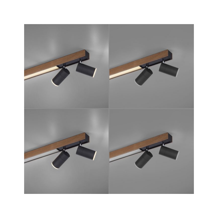 Paul Neuhaus 6121-79 - Φωτιστικό σποτ Dimming LED PURE 4xLED/4W/230V + LED/9W 2700-5000K + τηλεχειριστήριο