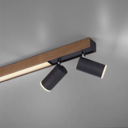 Paul Neuhaus 6121-79 - Φωτιστικό σποτ Dimming LED PURE 4xLED/4W/230V + LED/9W 2700-5000K + τηλεχειριστήριο