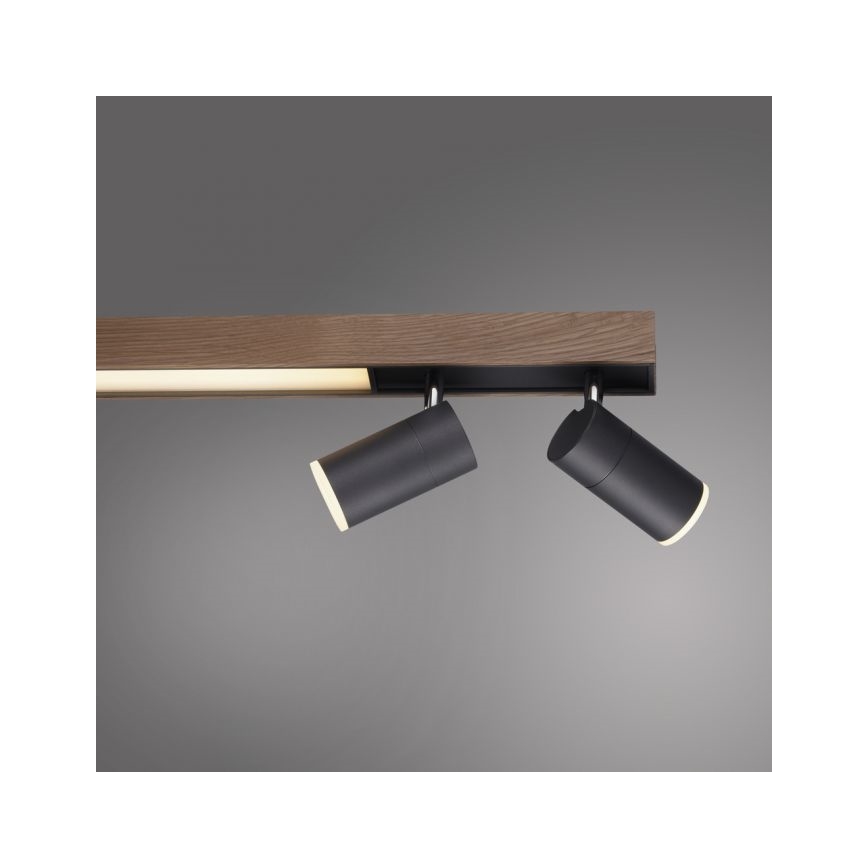 Paul Neuhaus 6121-79 - Φωτιστικό σποτ Dimming LED PURE 4xLED/4W/230V + LED/9W 2700-5000K + τηλεχειριστήριο