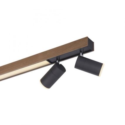 Paul Neuhaus 6121-79 - Φωτιστικό σποτ Dimming LED PURE 4xLED/4W/230V + LED/9W 2700-5000K + τηλεχειριστήριο