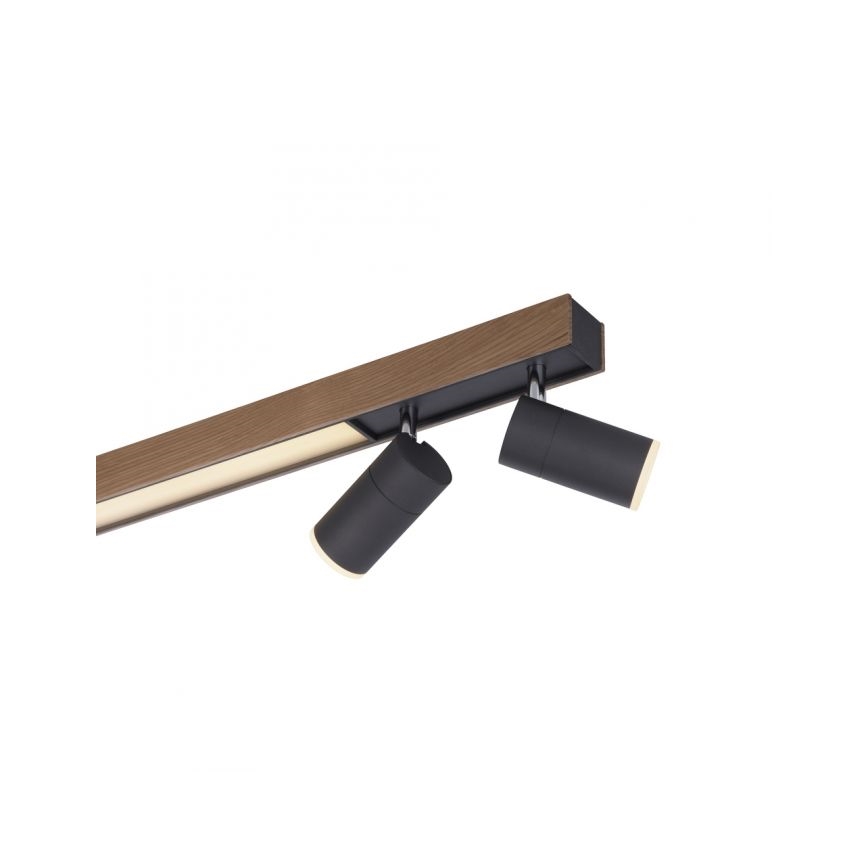 Paul Neuhaus 6121-79 - Φωτιστικό σποτ Dimming LED PURE 4xLED/4W/230V + LED/9W 2700-5000K + τηλεχειριστήριο