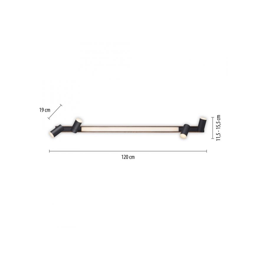 Paul Neuhaus 6121-79 - Φωτιστικό σποτ Dimming LED PURE 4xLED/4W/230V + LED/9W 2700-5000K + τηλεχειριστήριο