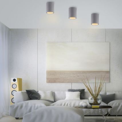 Paul Neuhaus 6160-22 - Φωτιστικό σποτ ETON 1xGU10/10W/230V τσιμέντο