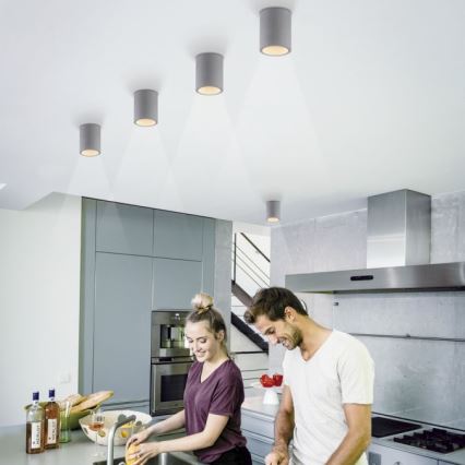 Paul Neuhaus 6160-22 - Φωτιστικό σποτ ETON 1xGU10/10W/230V τσιμέντο