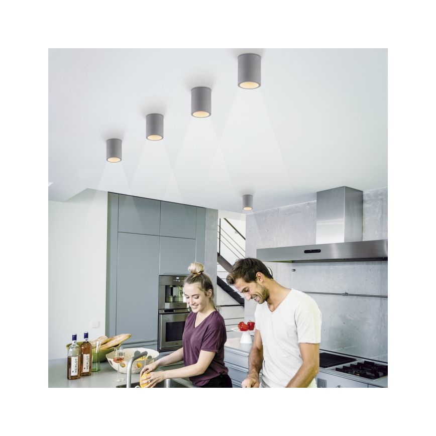 Paul Neuhaus 6160-22 - Φωτιστικό σποτ ETON 1xGU10/10W/230V τσιμέντο