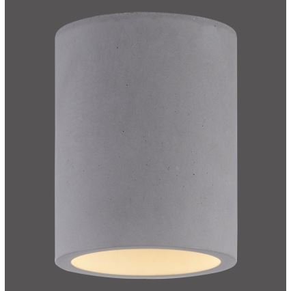 Paul Neuhaus 6160-22 - Φωτιστικό σποτ ETON 1xGU10/10W/230V τσιμέντο