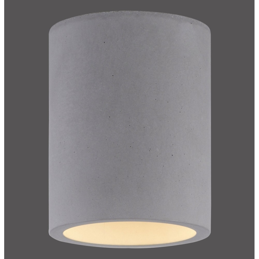 Paul Neuhaus 6160-22 - Φωτιστικό σποτ ETON 1xGU10/10W/230V τσιμέντο