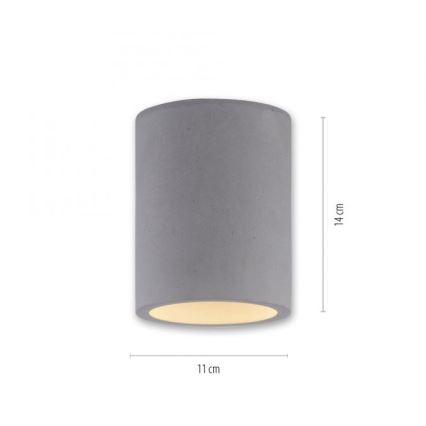 Paul Neuhaus 6160-22 - Φωτιστικό σποτ ETON 1xGU10/10W/230V τσιμέντο