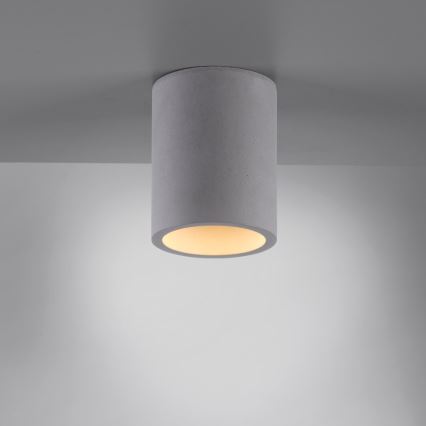 Paul Neuhaus 6160-22 - Φωτιστικό σποτ ETON 1xGU10/10W/230V τσιμέντο