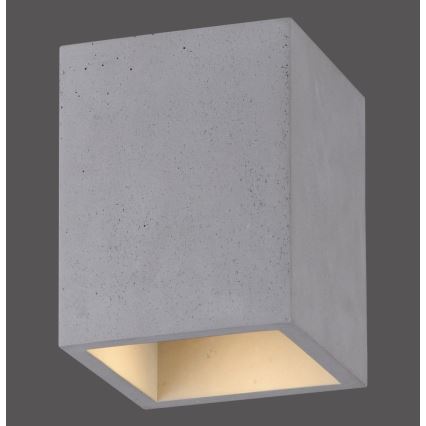 Paul Neuhaus 6161-22 - Φωτιστικό σποτ ETON 1xGU10/10W/230V