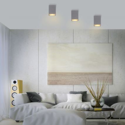 Paul Neuhaus 6161-22 - Φωτιστικό σποτ ETON 1xGU10/10W/230V