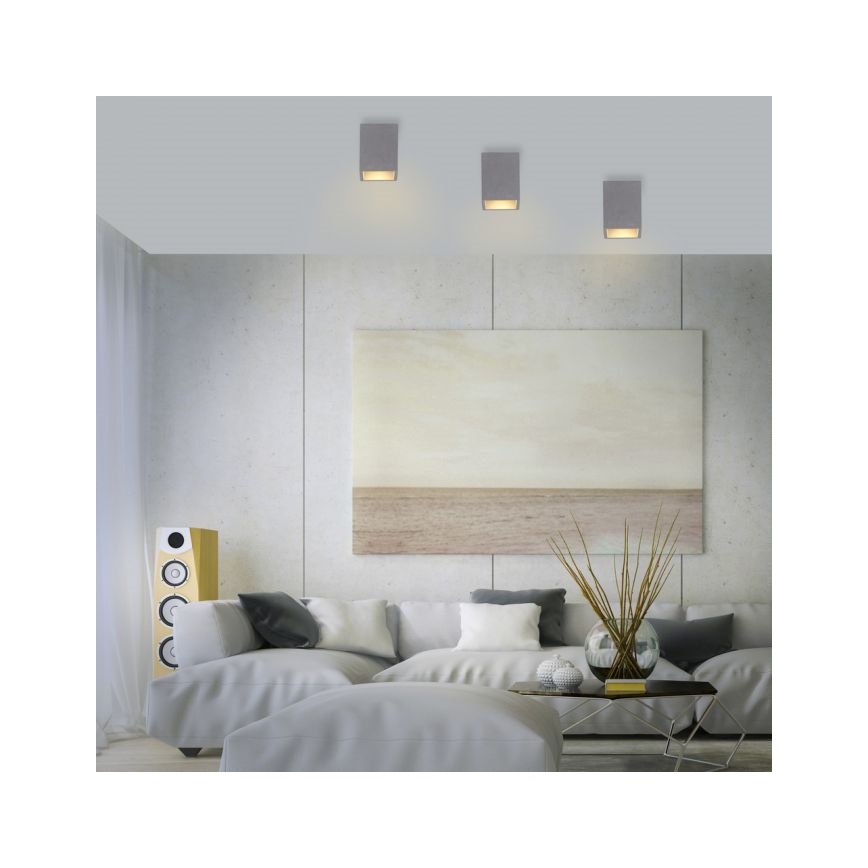 Paul Neuhaus 6161-22 - Φωτιστικό σποτ ETON 1xGU10/10W/230V