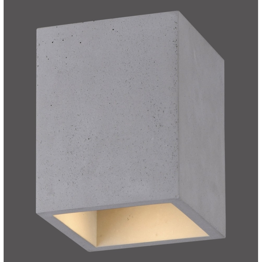 Paul Neuhaus 6161-22 - Φωτιστικό σποτ ETON 1xGU10/10W/230V