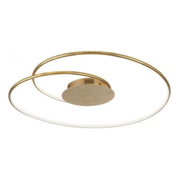 Paul Neuhaus 6189-12 - LED Dimmable φωτιστικό οροφής NASTRO LED/26W/230V