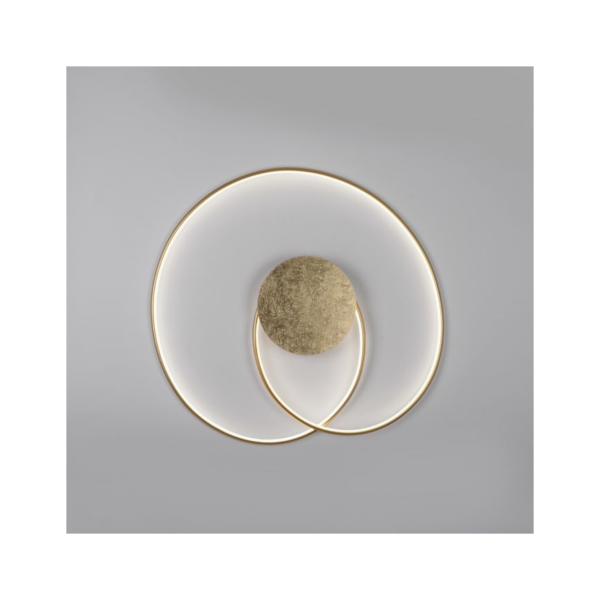 Paul Neuhaus 6189-12 - LED Dimmable φωτιστικό οροφής NASTRO LED/26W/230V