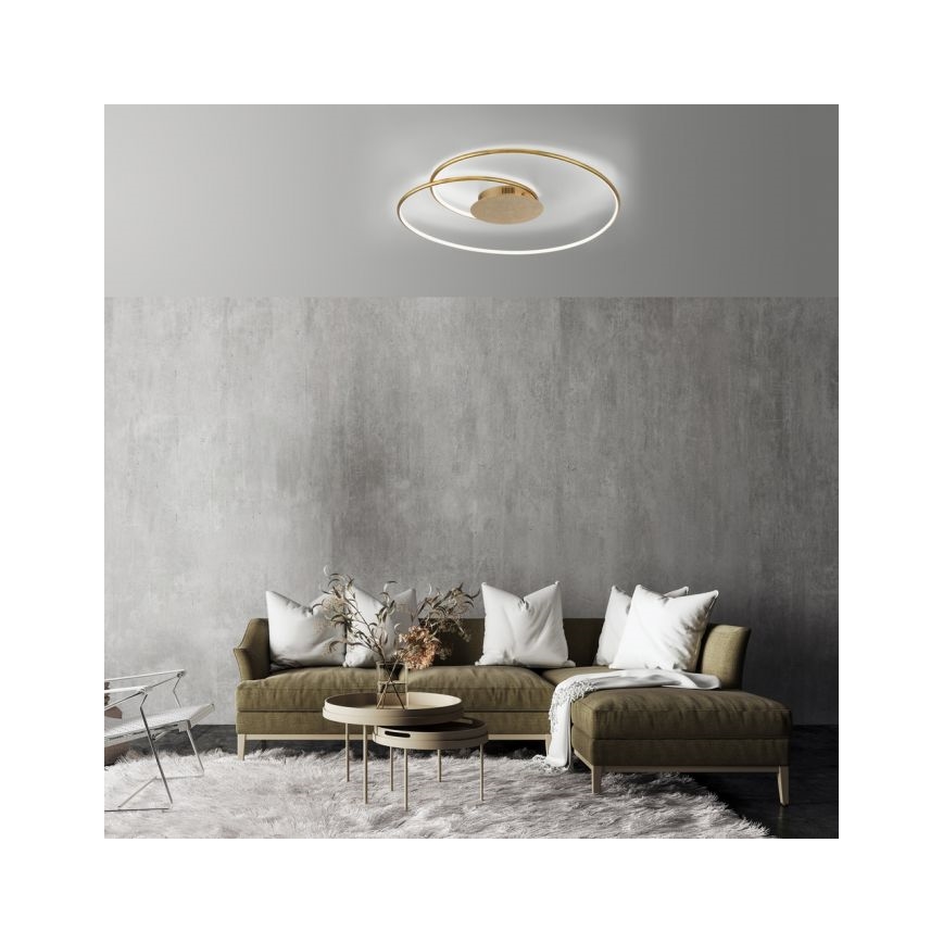 Paul Neuhaus 6189-12 - LED Dimmable φωτιστικό οροφής NASTRO LED/26W/230V