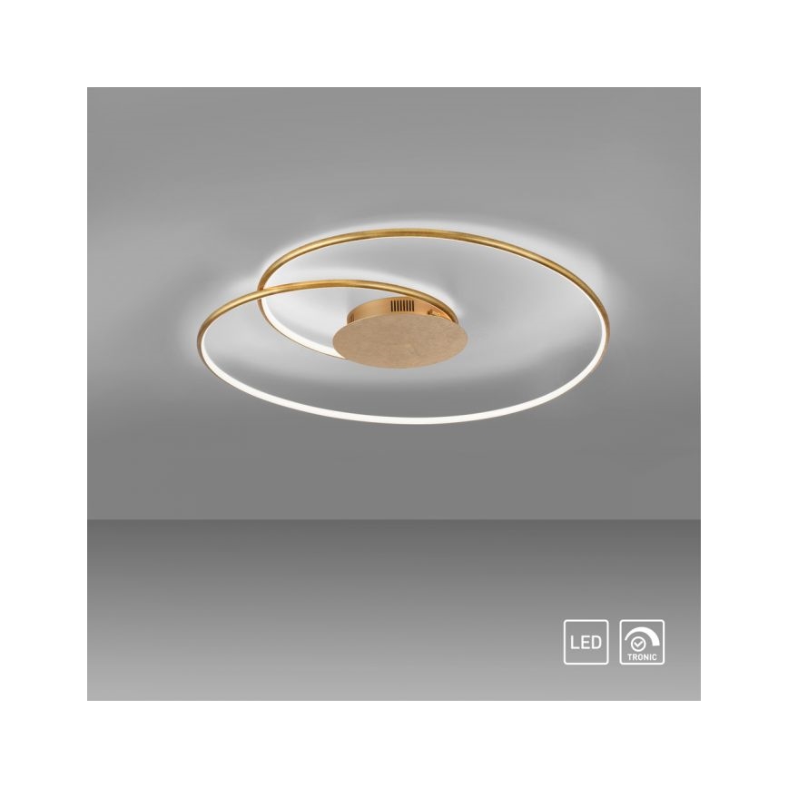Paul Neuhaus 6189-12 - LED Dimmable φωτιστικό οροφής NASTRO LED/26W/230V