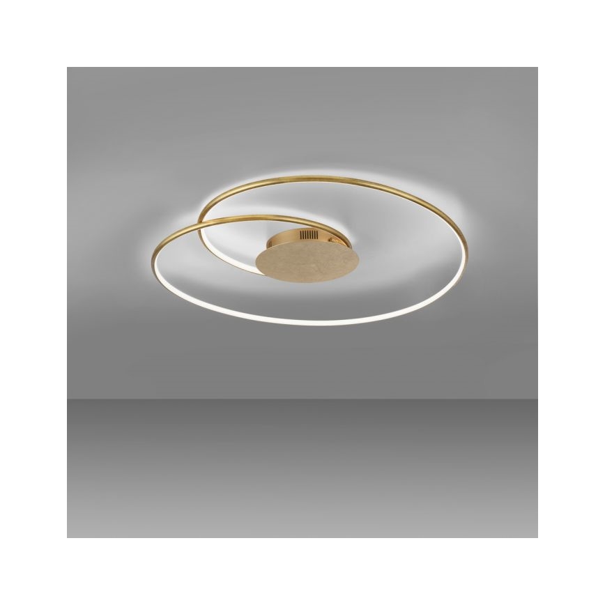 Paul Neuhaus 6189-12 - LED Dimmable φωτιστικό οροφής NASTRO LED/26W/230V